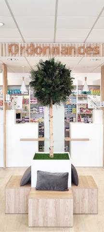 Pharmacie Noyal-Pontivy agencement LA MENUIS arbre stabilisé